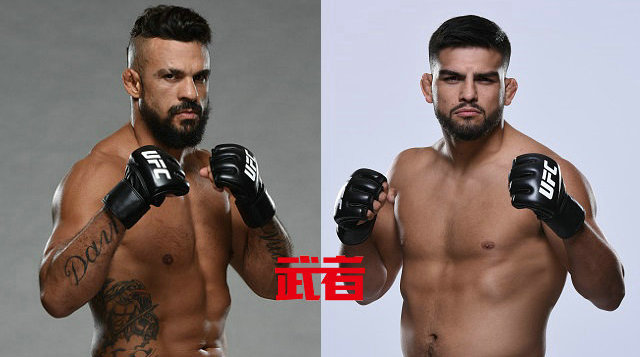 UFC格斗之夜107：维托·贝尔福特vs凯尔文·加斯特鲁姆