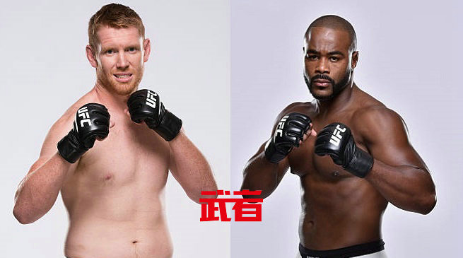 UFC格斗之夜114：萨姆·阿尔维vs拉沙德·埃文斯