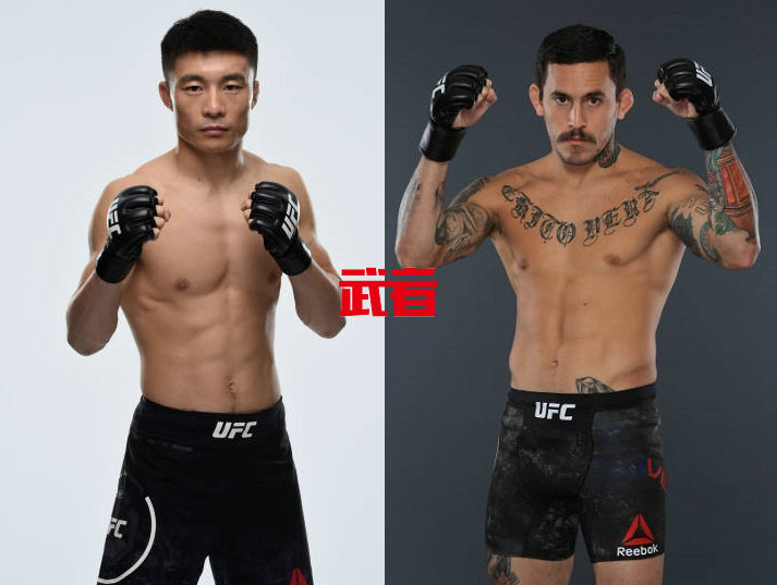 UFC_乌力吉布仁_维拉_武者网.jpg