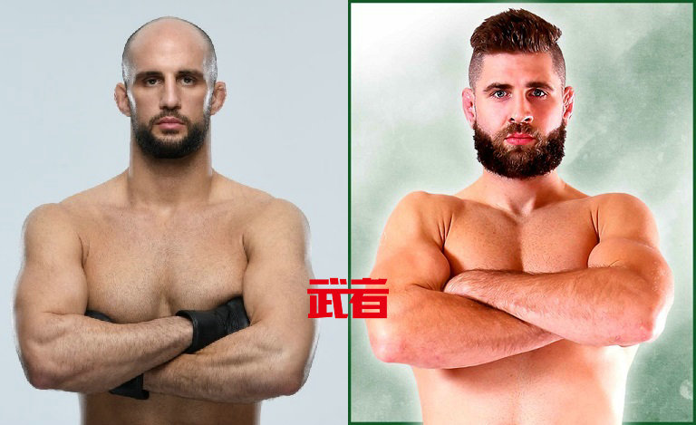 UFC-Oezdemir-Prochazka.jpg