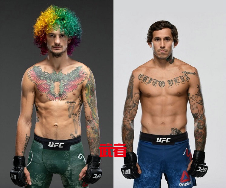 UFC-O'Malley-Vera.jpg