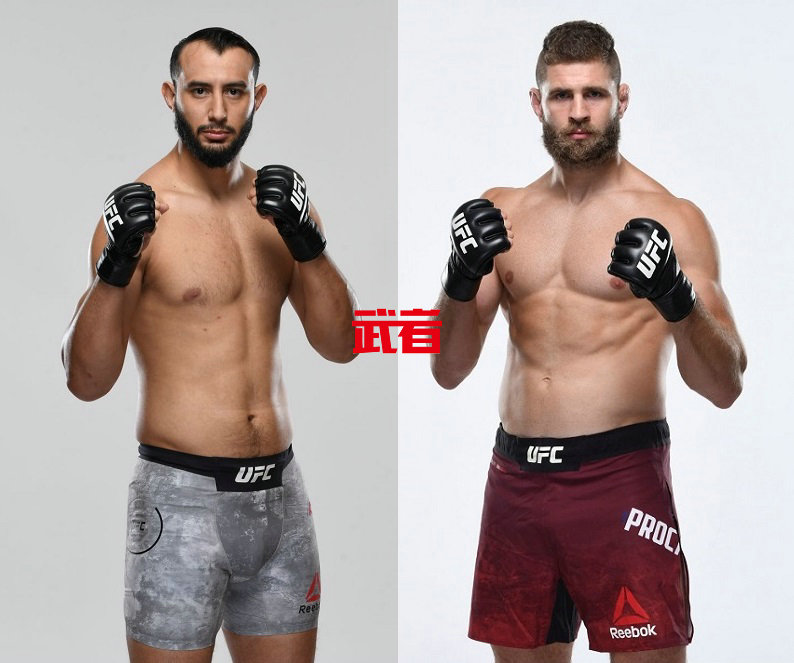 UFC-Reyes-Prochazka.jpg