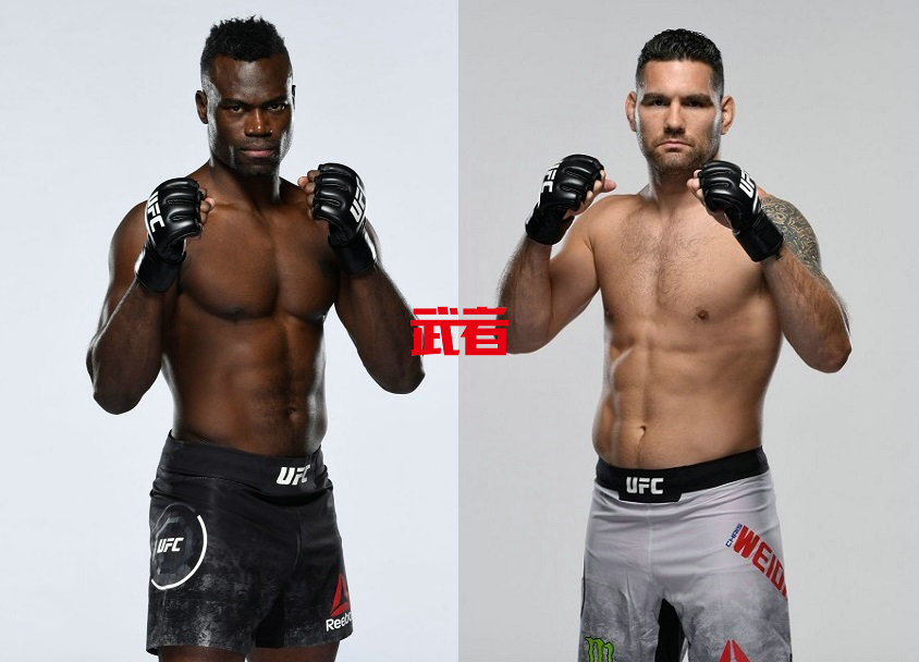 UFC-Hall-Weidman.jpg