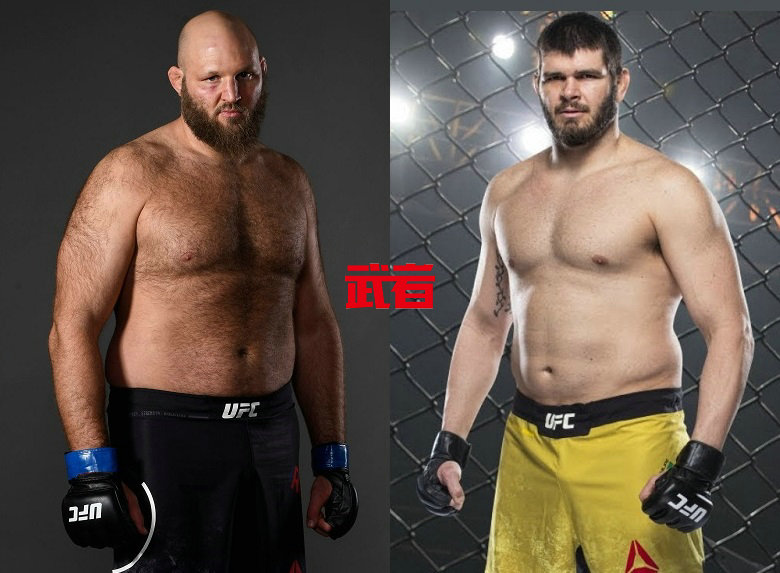 UFC-Rothwell-Lins.jpg