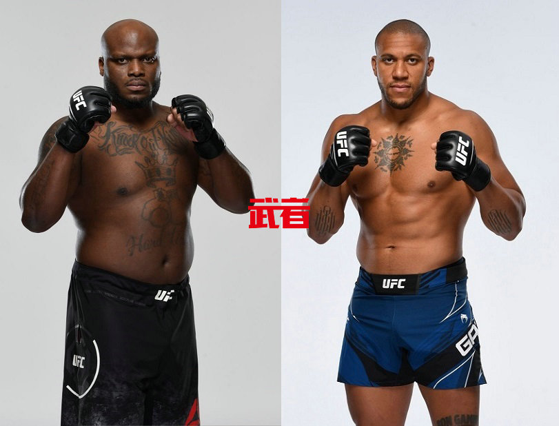 UFC-Lewis-Gane.jpg