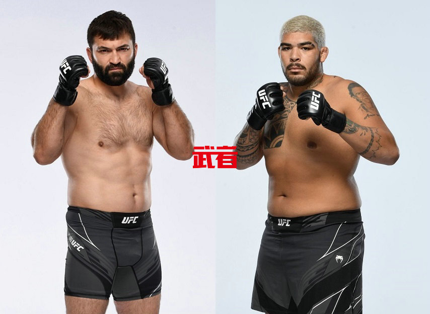 UFC-Arlovski-Felipe.jpg