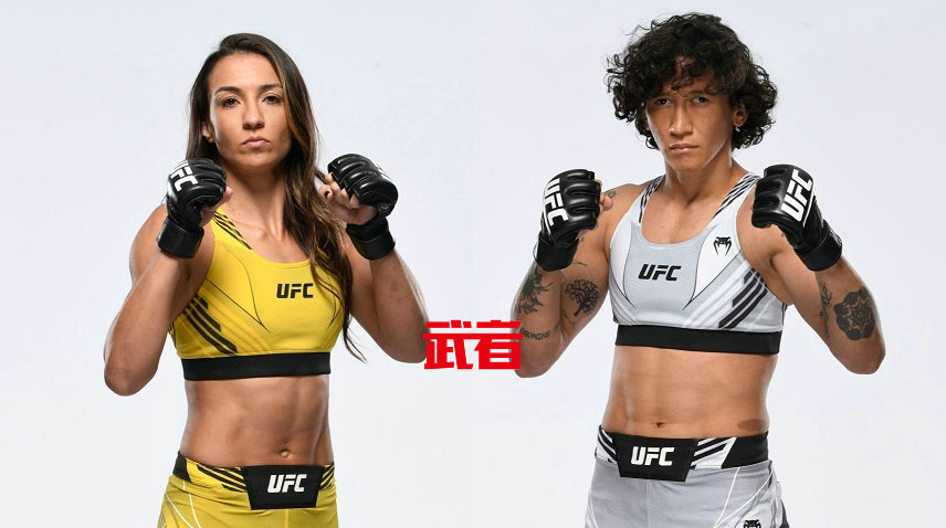 UFC 267：阿曼达·里巴斯vs维尔纳·简迪罗巴