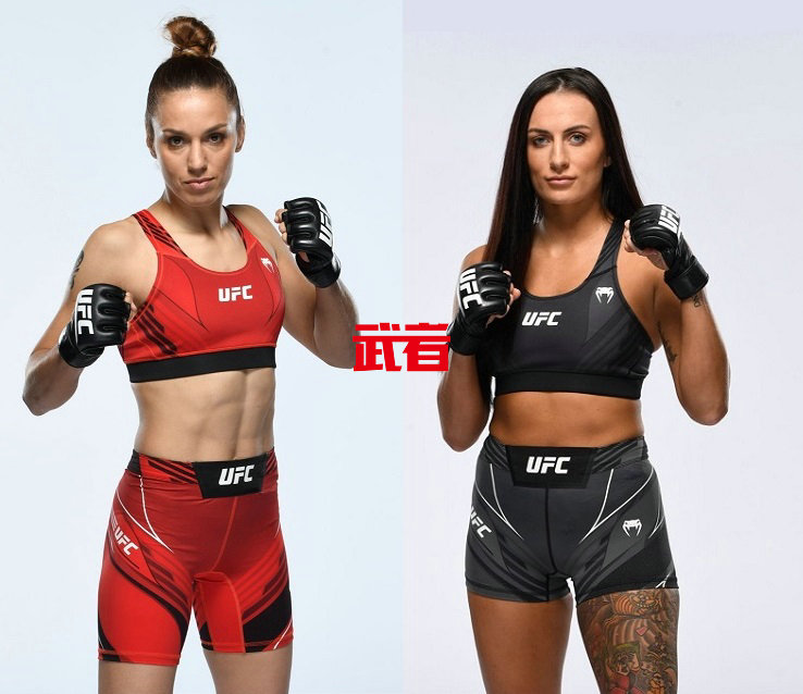 UFC-Shevchenko-O'Neill.jpg