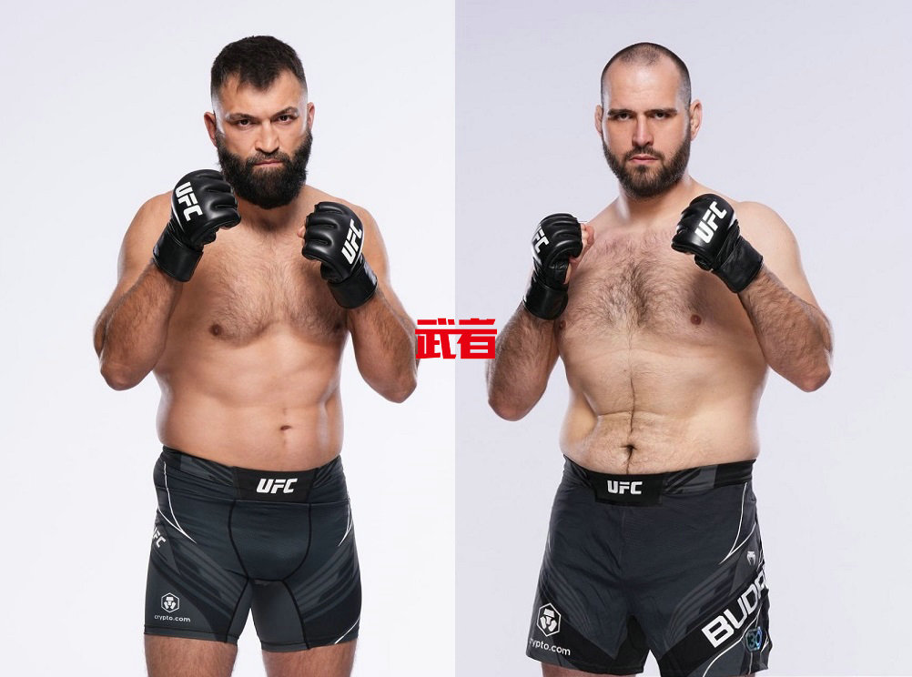 UFC-Arlovski-Buday.jpg