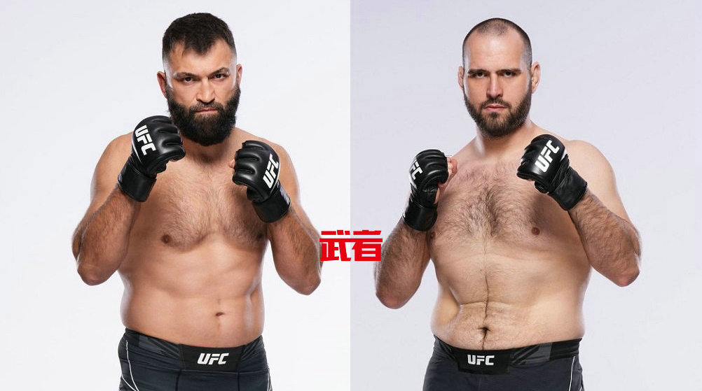 UFC 303：安德烈·阿洛夫斯基vs马丁·布戴