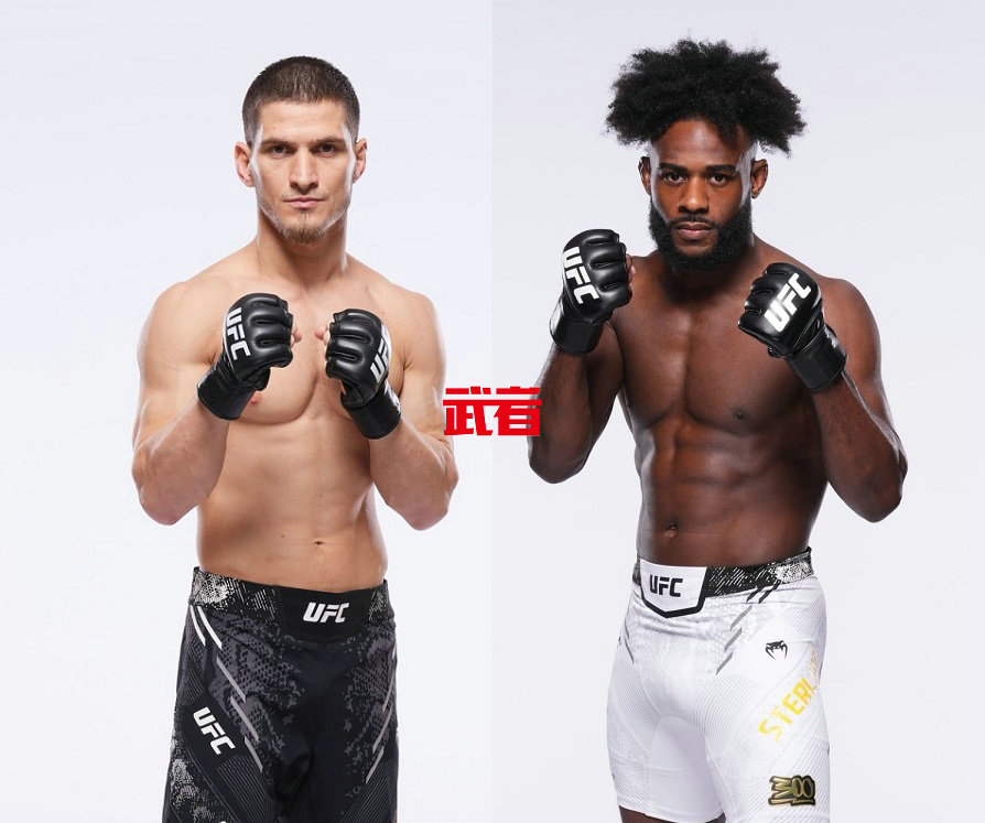 UFC-Evloev-Sterling.jpg