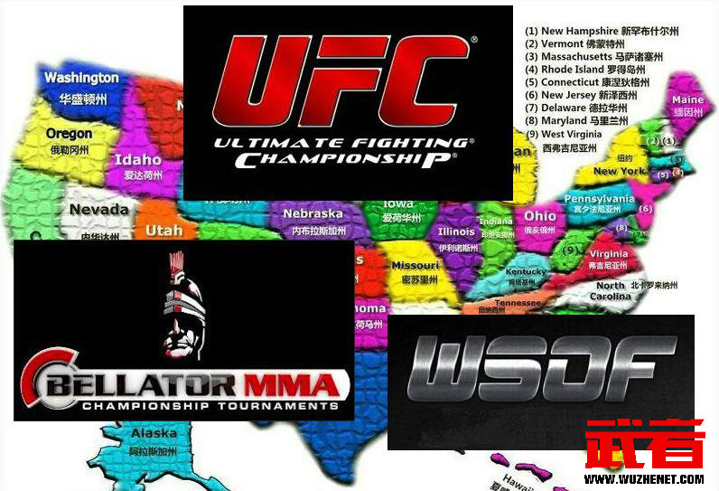 11月16日UFC、Bellator、WSOF三国争霸