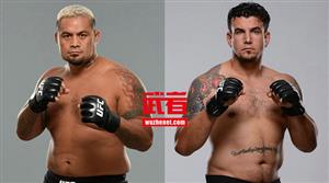 UFC格斗之夜84：马克·亨特vs弗兰克·米尔