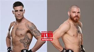 UFC197再添新阵容 桑切斯席尔瓦约翰逊参战