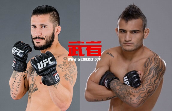 UFC183：伊恩·迈克考尔vs约翰·莱因克尔