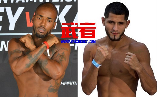 UFC178：鲍比·格林vs豪尔赫·马斯威达尔