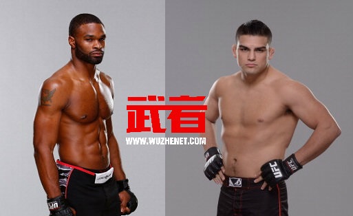 UFC183：凯尔文·加斯特鲁姆vs泰伦·伍德利